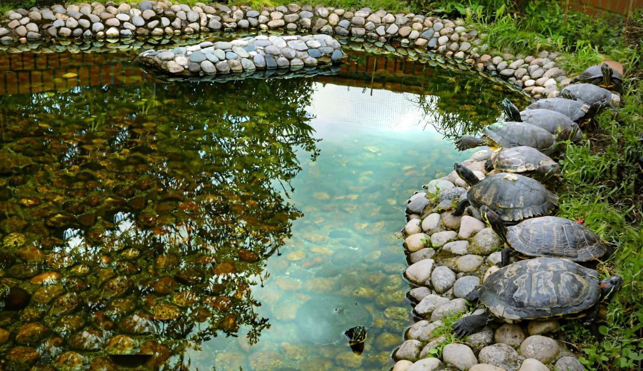 Totohouse Da Marco Piscina Riscaldata Rialto 외부 사진
